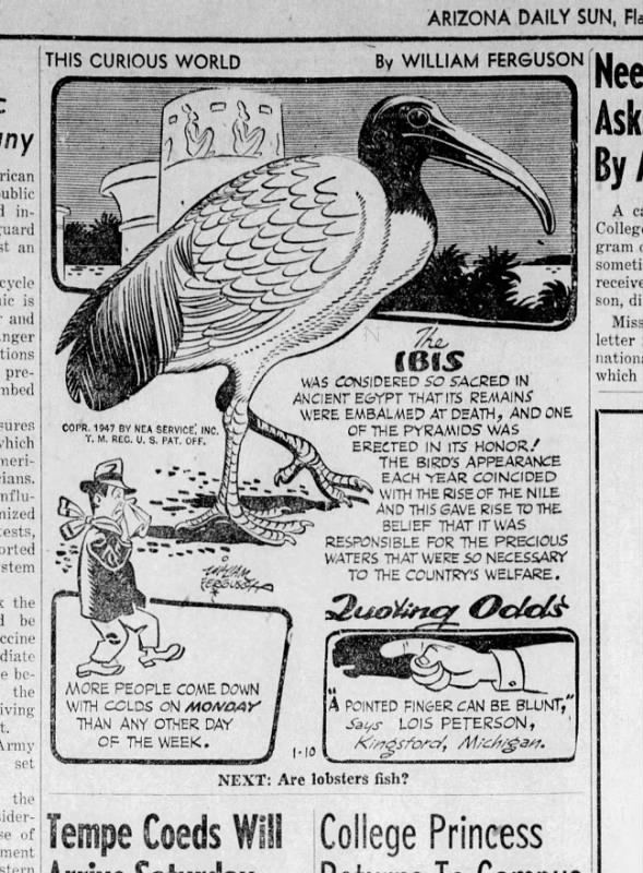 Clipping from Arizona Daily Sun